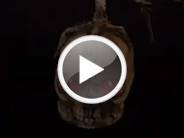https://www.youtube.com/embed/NwhjB8mmOq8