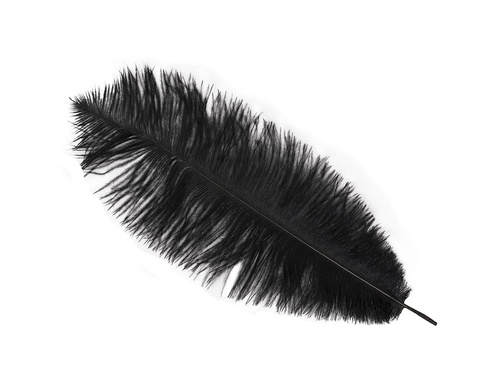Duże pióro czarne - 30 cm - 1 szt.