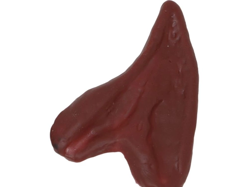 Uszy Wilkołaka - 1 szt.