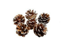 Szyszki z brokatem - 3,5 cm - 6 szt.