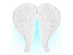 Skrzydła anioła białe z piórami - 67 x 64 cm - 1 szt.