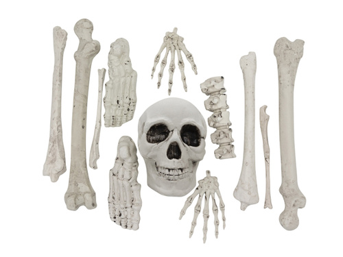 Worek kości - 12 elem.