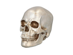 Błyszcząca czaszka na Halloween - 1 szt.