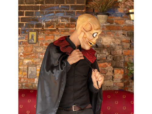 Maska Czaszka na Halloween - 22x28,5 cm - 1 szt.