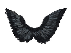 Skrzydła anioła czarne 72 x 40  cm