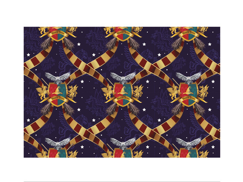 Obrus foliowy Szkoła Magii - 137 x 274 cm - 1 szt.