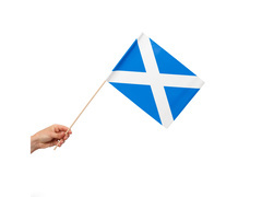 Flaga narodowa Szkocja na patyku - 30 x 20 cm - 10 szt.