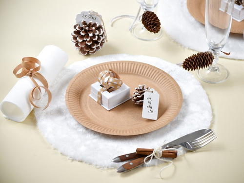 Talerzyki kraftowe - 22,5 cm - 10 szt.