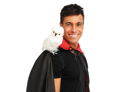 Biała Sowa na Halloween - 20 cm - 1 szt.