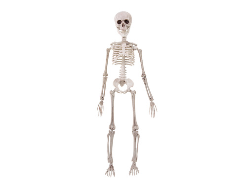 Dekoracja wisząca Szkielet - 50 cm - 1 szt.