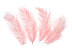 Piórka dekoracyjne brzoskwiniowe długie - 50 szt.