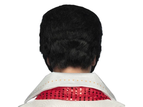 Peruka Rock 'n Rolla