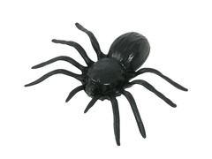 Zestaw 4 plastikowych pająków - 10 cm