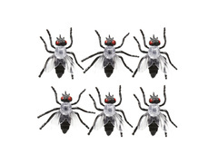 Muchy plastikowe na Halloween - 6 szt.