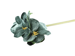 Sztuczny kwiat Amarylis zielony - 70 cm - 1 szt.