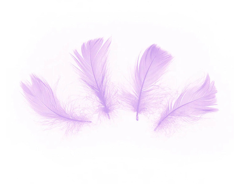 Piórka dekoracyjne fioletowe krótkie - 50 szt.