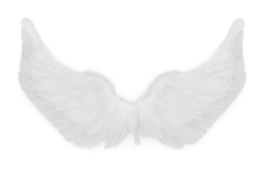 Skrzydła anioła białe - 65 x 40 cm - 1 szt.