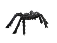 Pająk włochaty - 50 cm