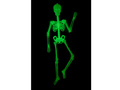 Fluorescencyjny szkielet - 150 cm