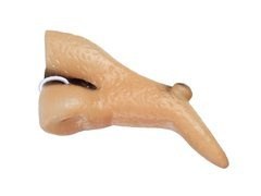 Nos czarownicy - 1 szt.