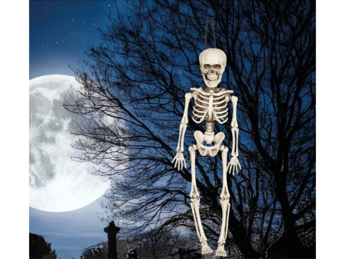 Dekoracja wisząca Szkielet - 40 cm - 1 szt.