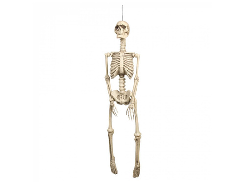 Dekoracja wisząca Szkielet - 92 cm - 1 szt.