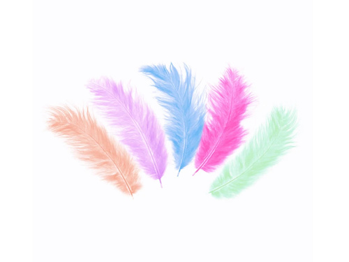 Piórka dekoracyjne mix kolorów długie - 50 szt.