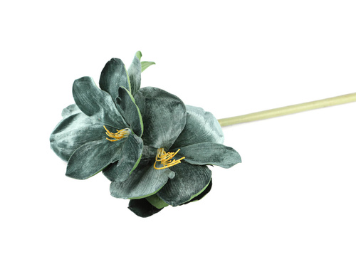 Sztuczny kwiat Amarylis zielony - 70 cm - 1 szt.