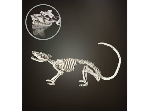 Dekoracja Szkielet Szczura - 38 cm - 1 szt.