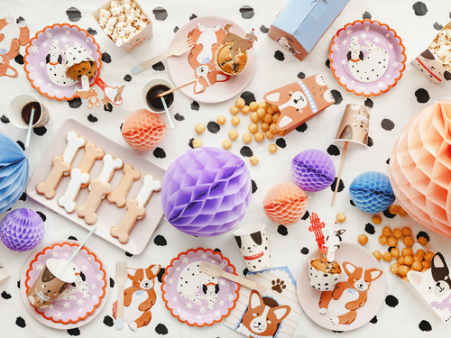 Talerzyki papierowe na urodziny Dalmatyńczyk - 18 cm - 6 szt.