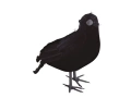Czarny kruk - 25 cm