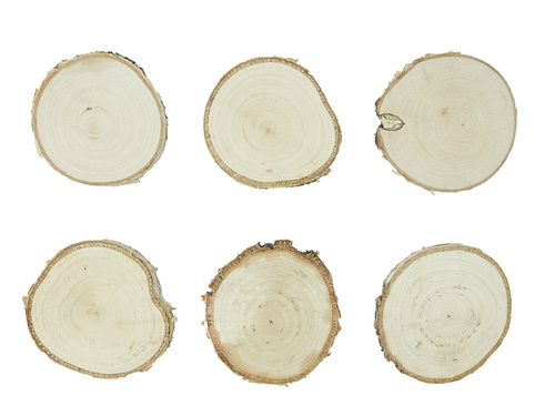 Drewniane wizytówki na stół 8-9 cm - 6 szt.