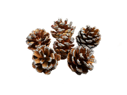 Szyszki z brokatem - 3,5 cm - 6 szt.