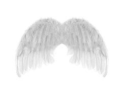 Skrzydła anioła białe - 48 x 28 cm - 1 szt.