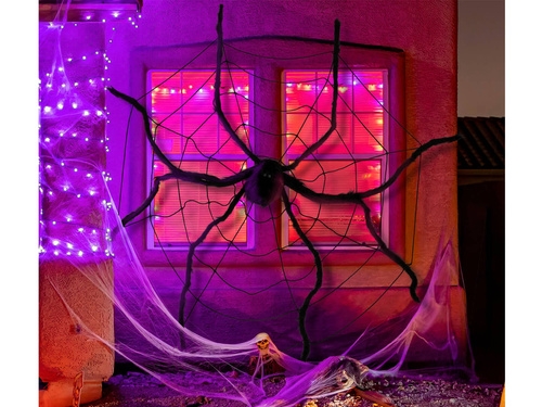 Pajęczyna z pająkiem - 1 op.