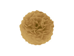 Dekoracja wisząca pompon kwiat - złoty brąz - 25 cm - 1 szt.