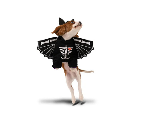 Kostium Nietoperz dla pieska