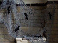 Gaza szara z nietoperzami na Halloween