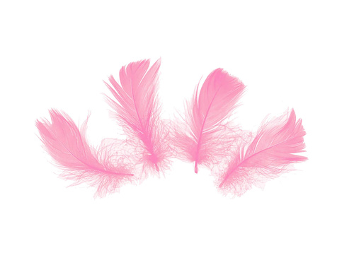 Piórka dekoracyjne różowe krótkie - 50 szt.