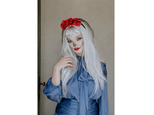 Peruka srebrna z grzywką - 1 szt.