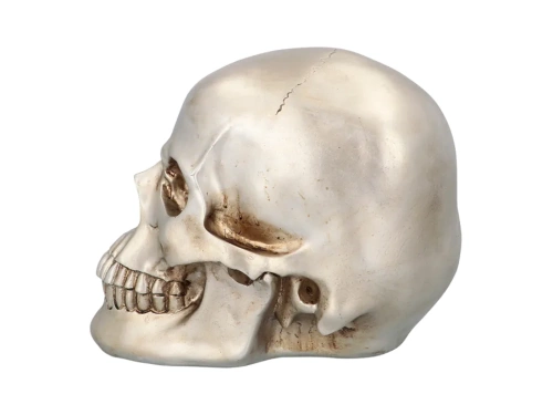 Błyszcząca czaszka na Halloween - 1 szt.