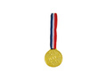 Medal Zwycięzcy - 24 szt.