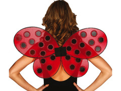 Skrzydełka Biedronka - 1 para