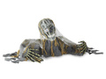 Dekoracja Zombie na Halloween - 120 cm - 1 szt.