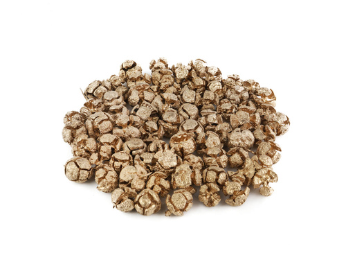 Żołędzie dekoracyjne - 150 g