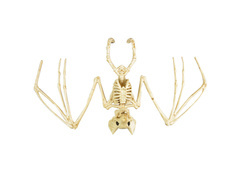 Dekoracja Szkielet Nietoperza - 30 cm - 1 szt.