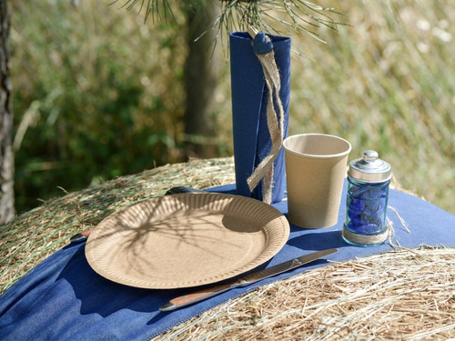 Kubeczki papierowe brązowe - 10 szt.