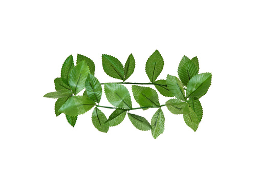 Wieniec laurowy zielony - 1 szt.