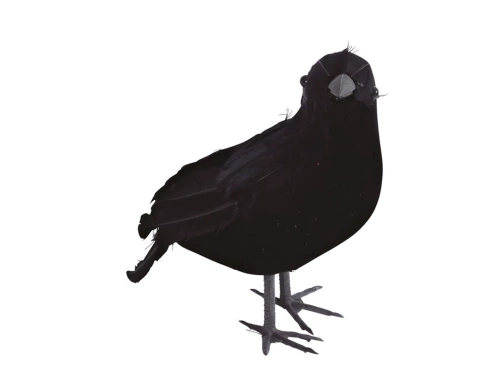 Czarny kruk - 25 cm