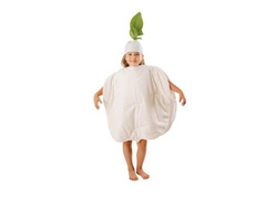 Kostium Seler - warzywo